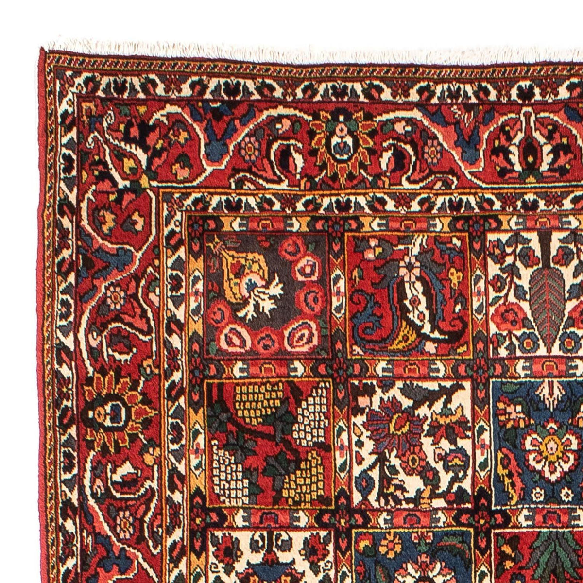 Alfombra persa - Nómada - 246 x 161 cm - multicolor