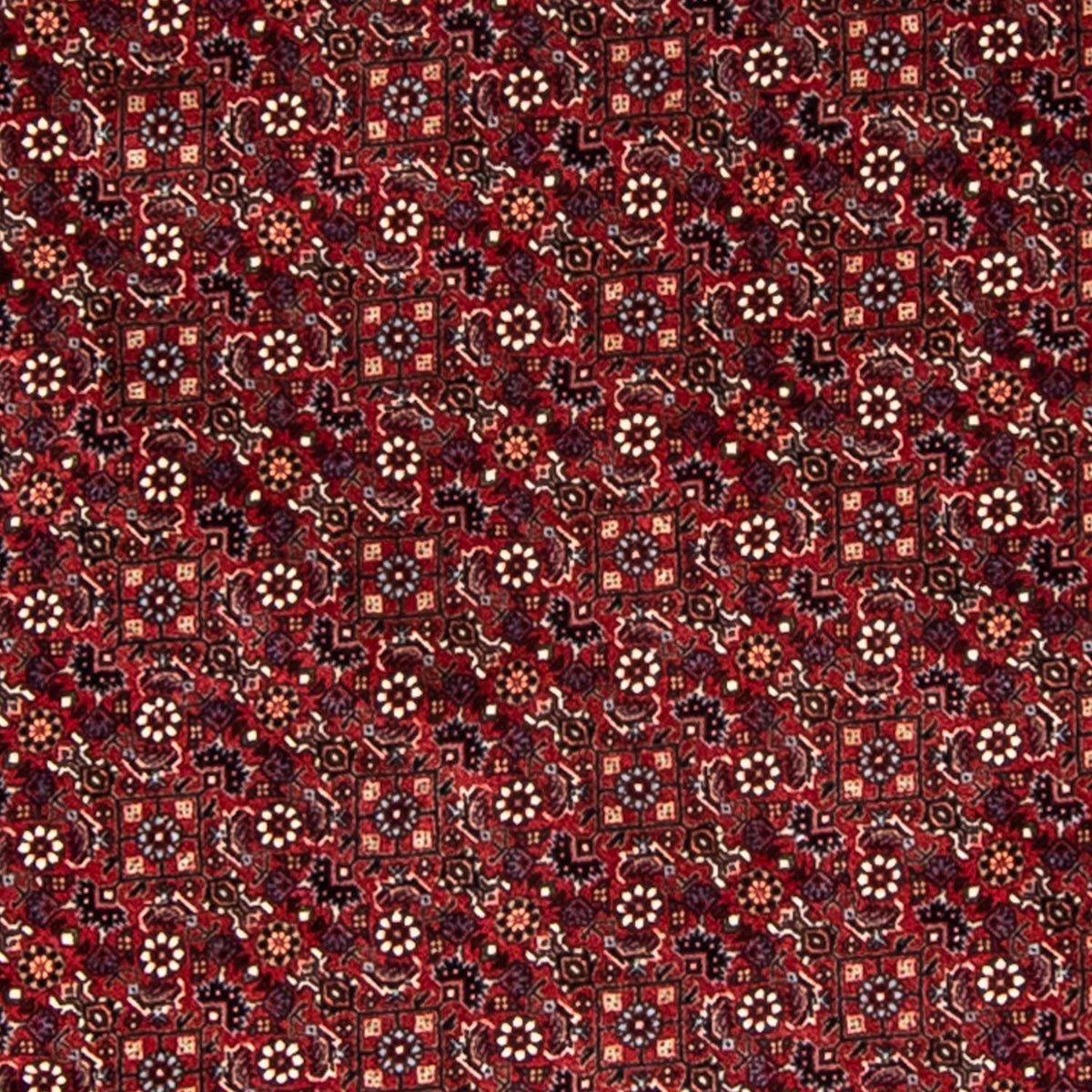 Alfombra persa - Bidjar redondo  - 200 x 200 cm - rojo oscuro