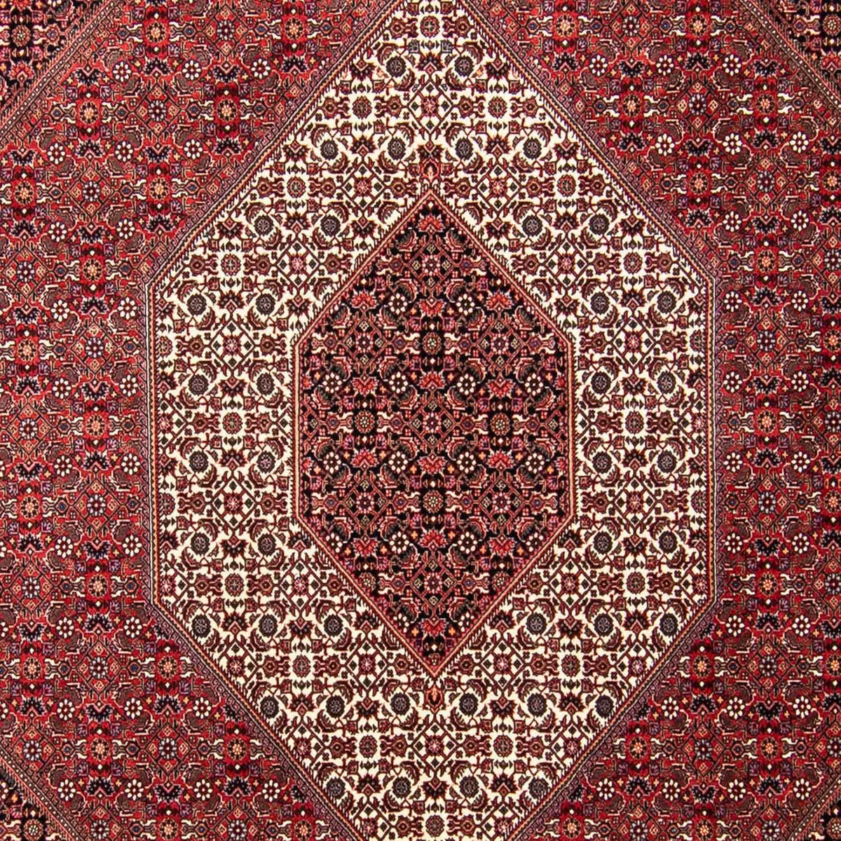 Alfombra persa - Bidjar - 297 x 250 cm - rojo oscuro