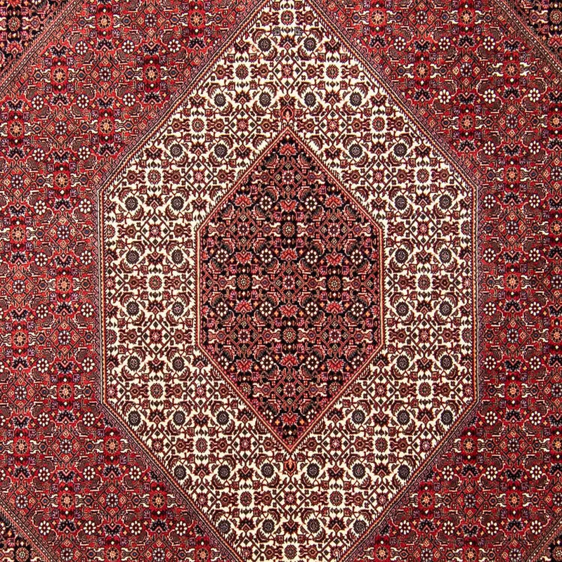 Alfombra persa - Bidjar - 297 x 250 cm - rojo oscuro