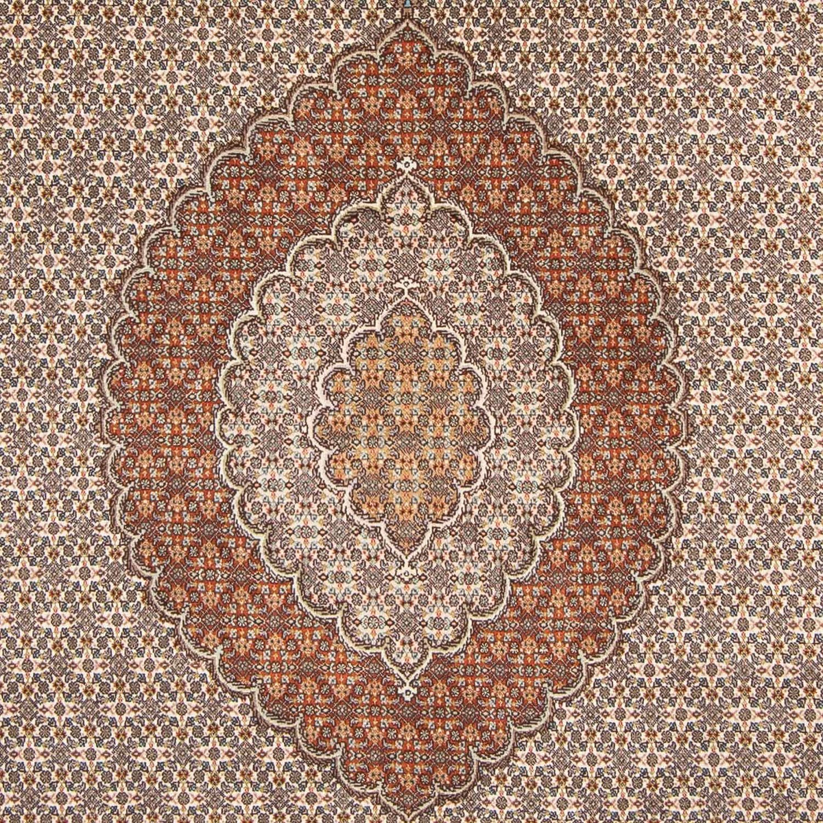 Alfombra persa - Tabriz - 312 x 196 cm - marrón claro