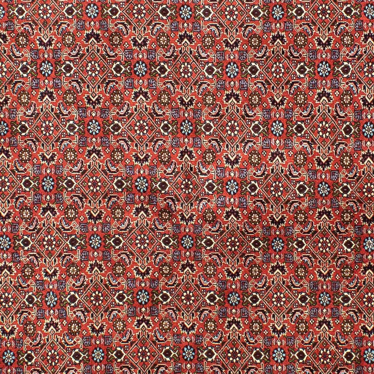 Alfombra persa - Bidjar - 288 x 202 cm - rojo claro