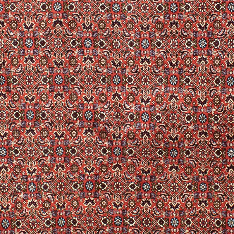 Alfombra persa - Bidjar - 288 x 202 cm - rojo claro