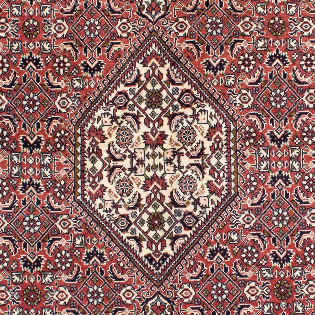 Alfombra persa - Bidjar - 214 x 140 cm - rojo