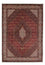 Alfombra persa - Bidjar - 232 x 168 cm - rojo oscuro