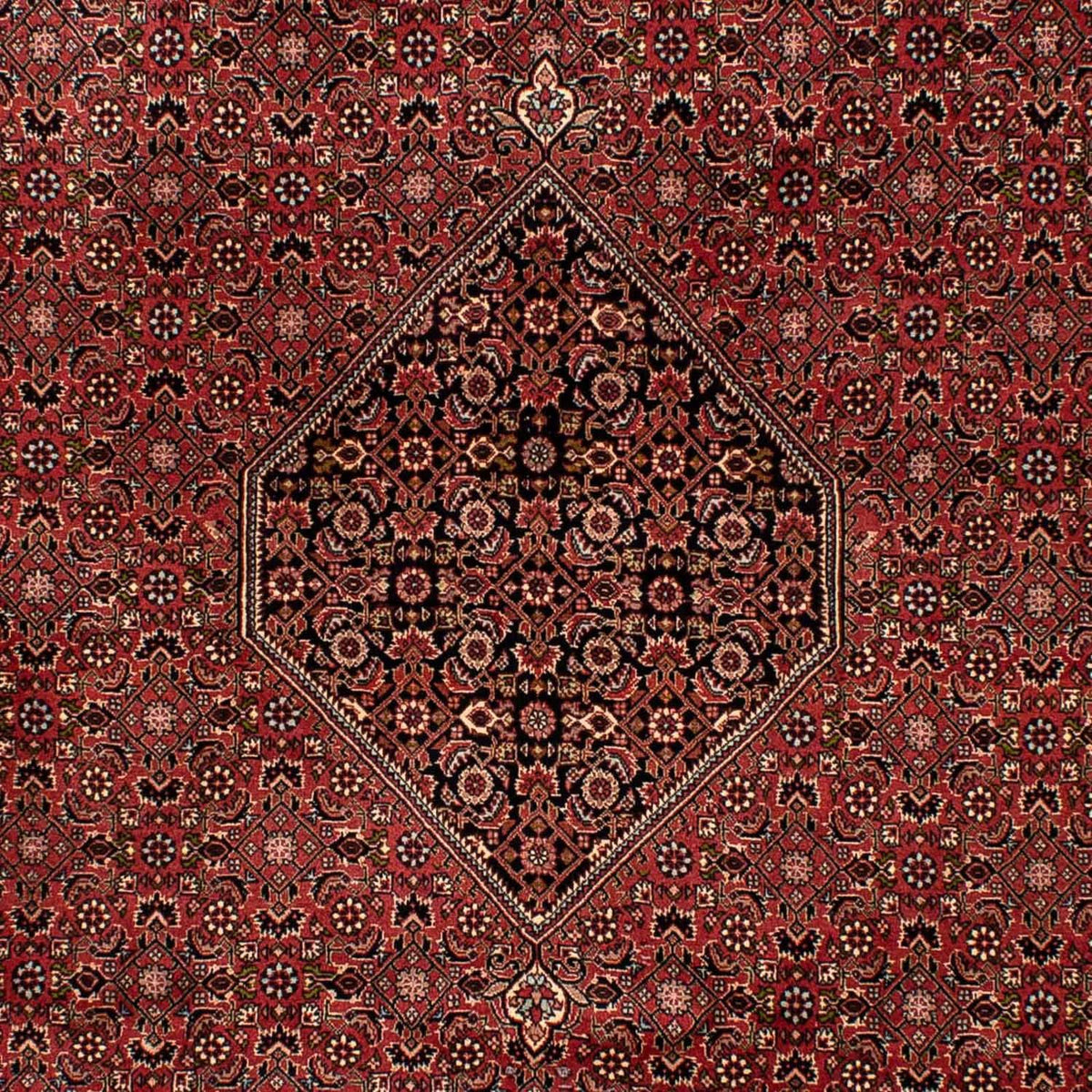 Alfombra persa - Bidjar - 300 x 202 cm - marrón