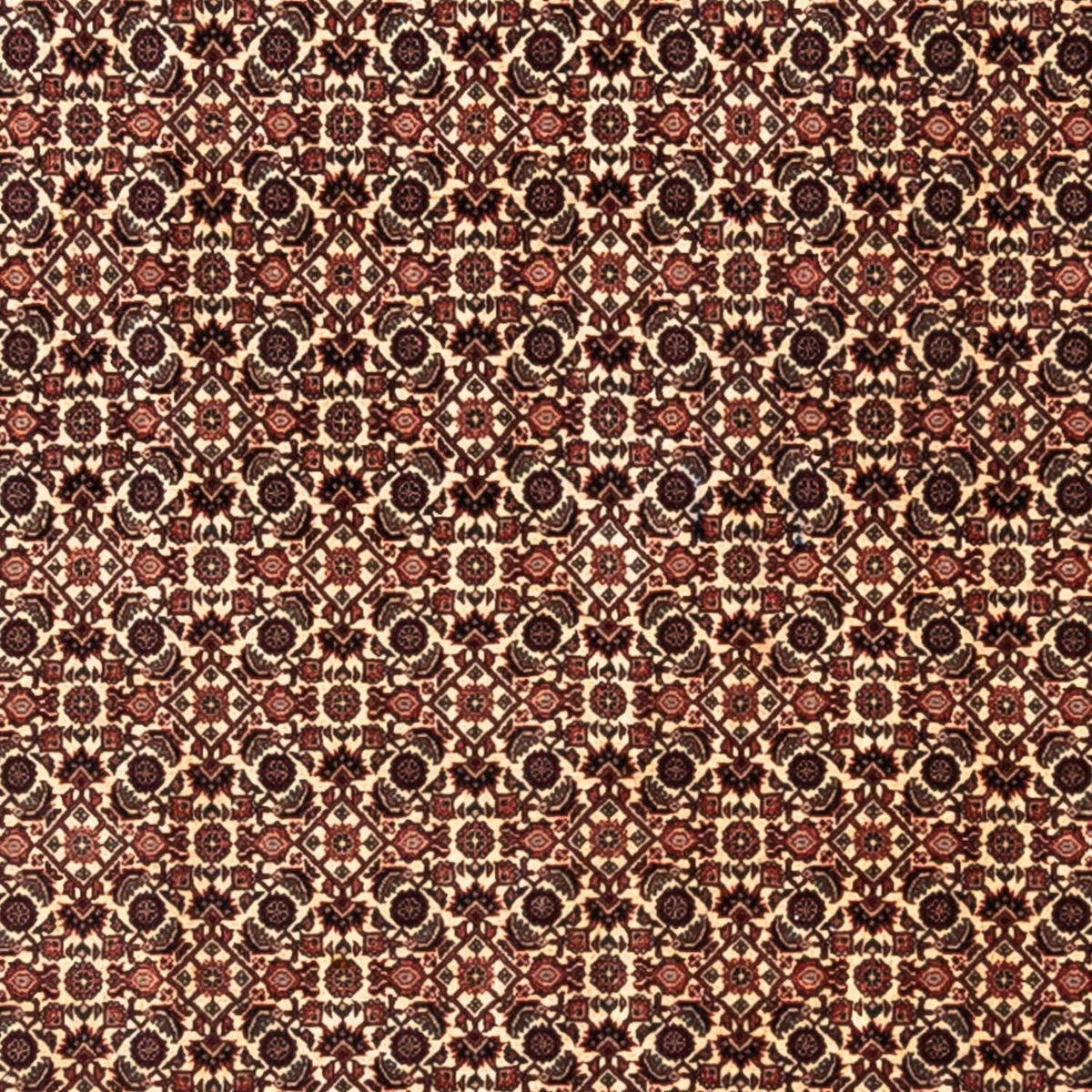 Alfombra persa - Bidjar - 287 x 208 cm - beige