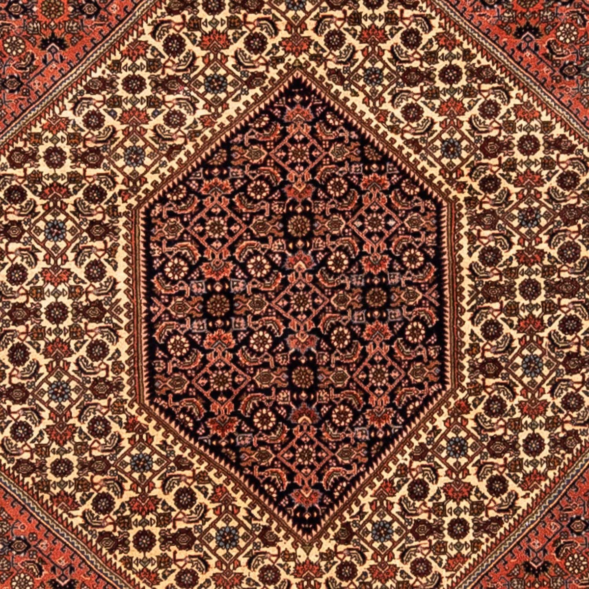 Alfombra persa - Bidjar - 291 x 202 cm - óxido