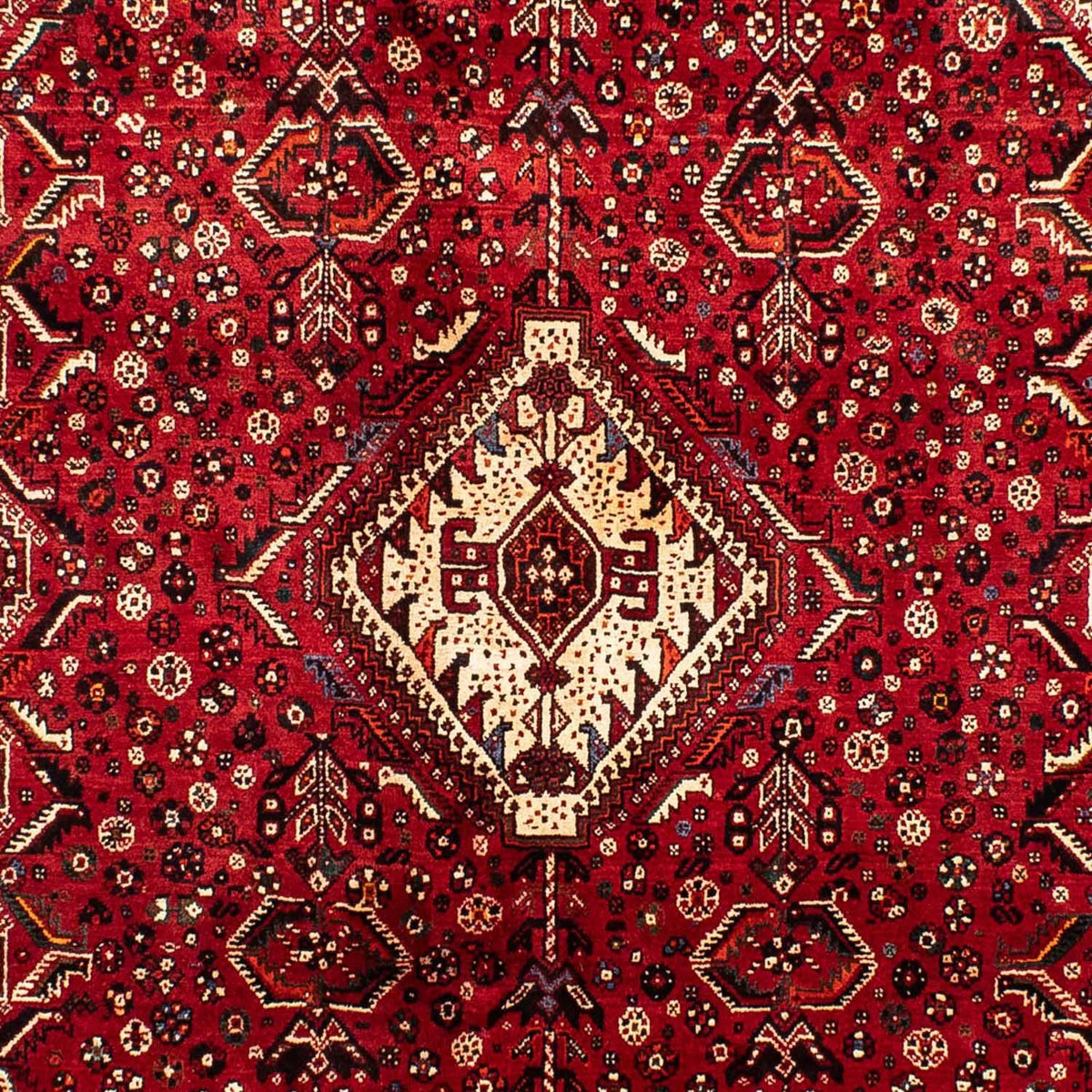 Alfombra persa - Nómada - 267 x 192 cm - rojo oscuro
