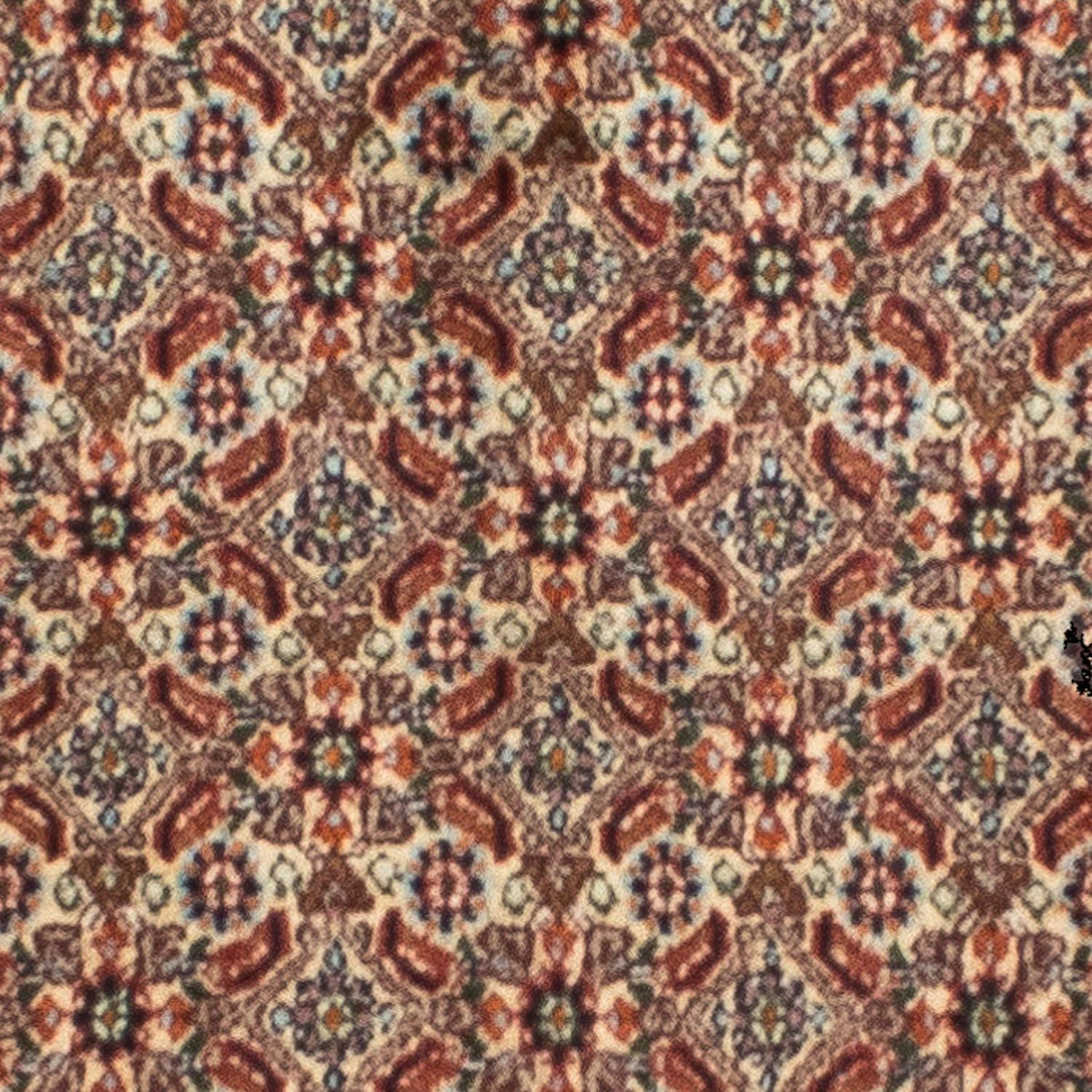 Alfombra de pasillo Alfombra persa - Clásica - 246 x 80 cm - beige
