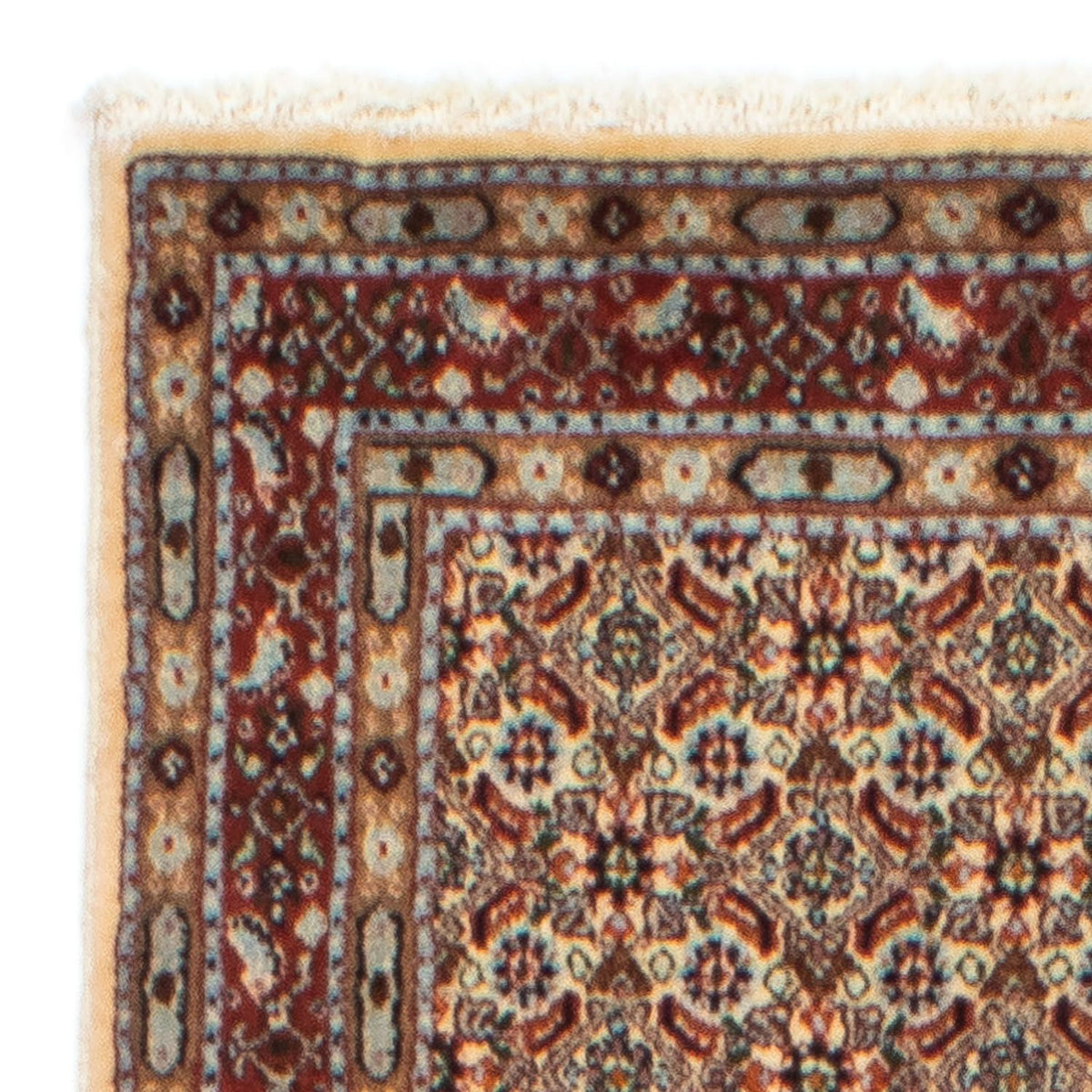 Alfombra de pasillo Alfombra persa - Clásica - 246 x 80 cm - beige