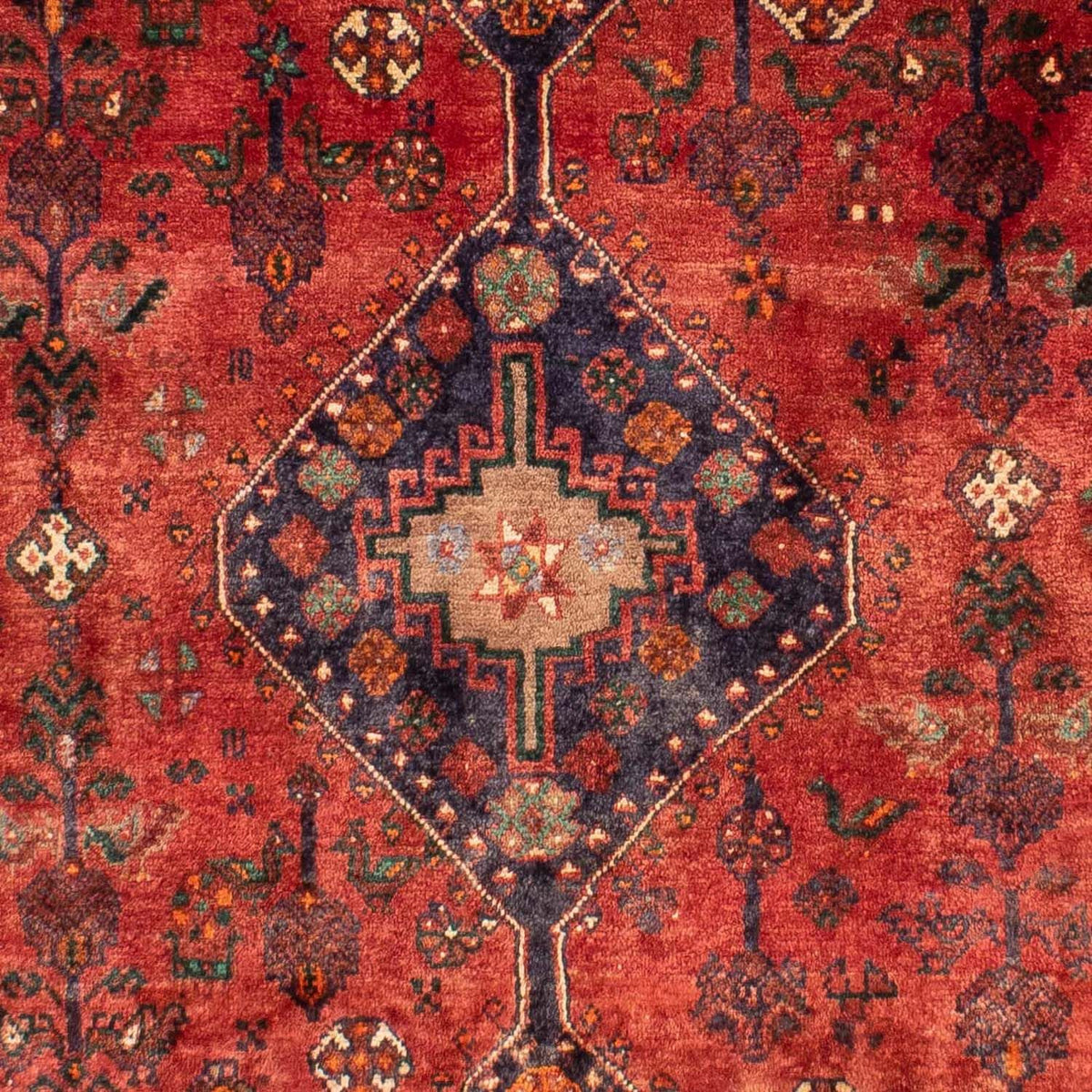 Alfombra persa - Nómada - 306 x 212 cm - rojo