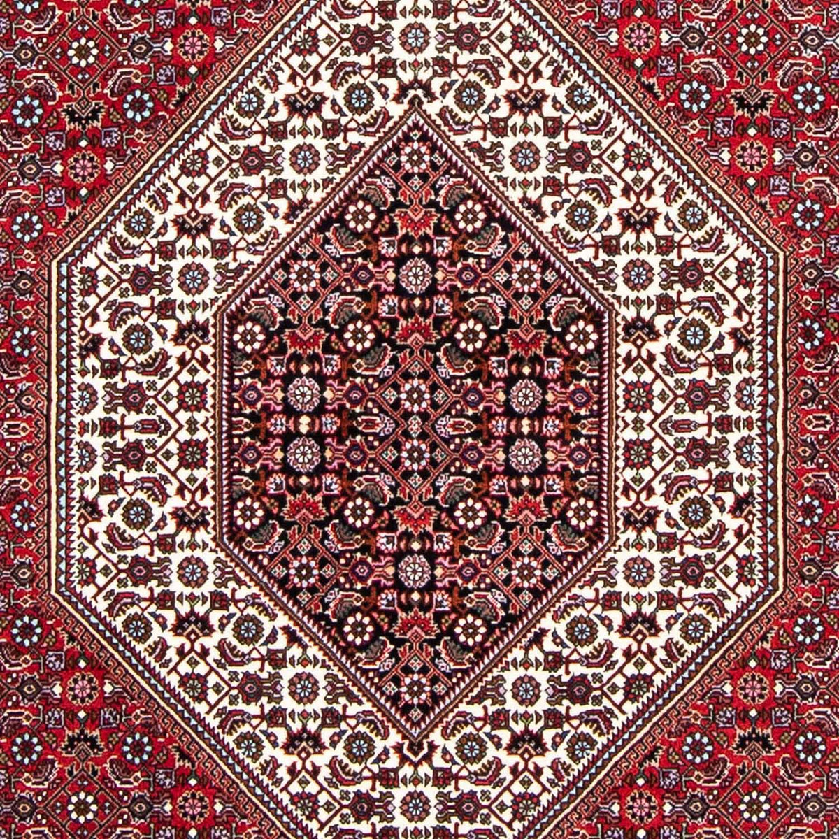 Alfombra persa - Bidjar - 250 x 149 cm - rojo