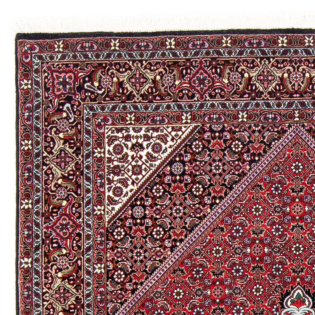 Alfombra persa - Bidjar - 250 x 149 cm - rojo