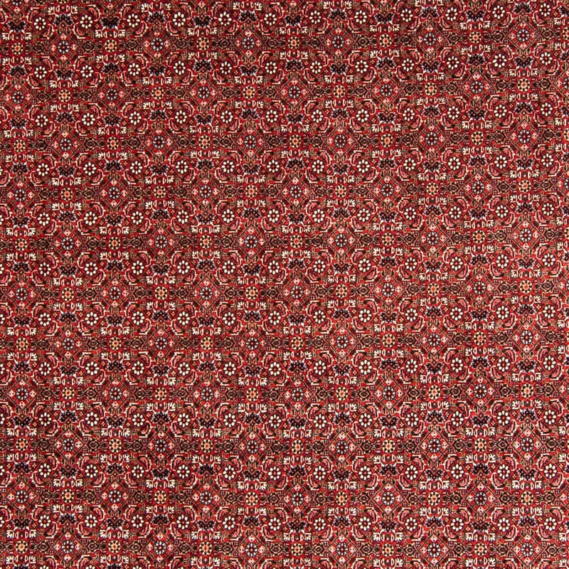 Alfombra persa - Bidjar - 330 x 246 cm - rojo