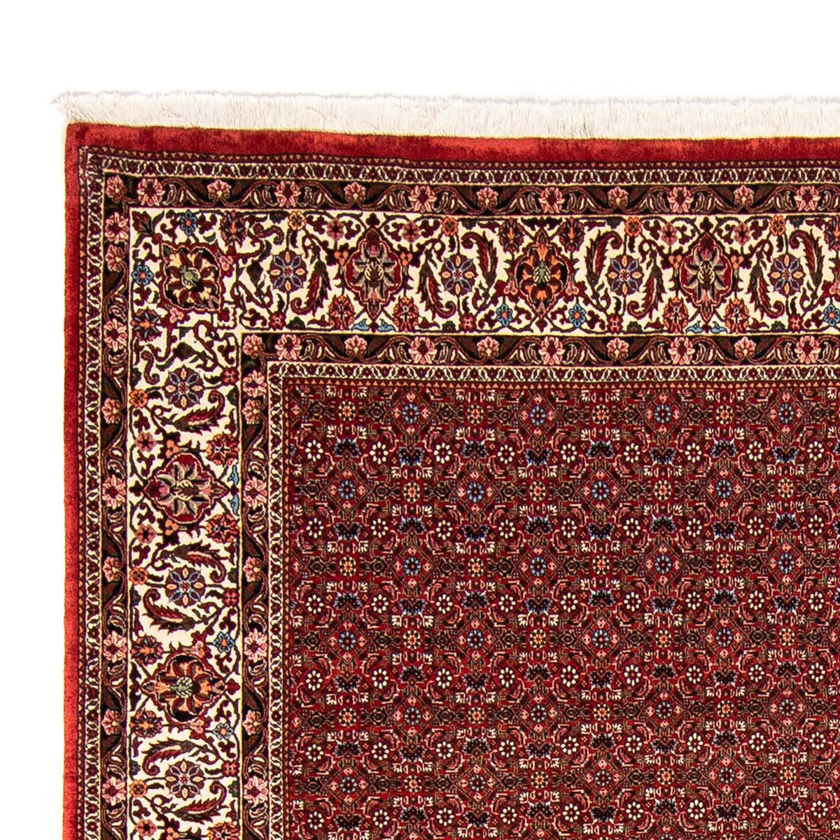 Alfombra persa - Bidjar - 330 x 246 cm - rojo