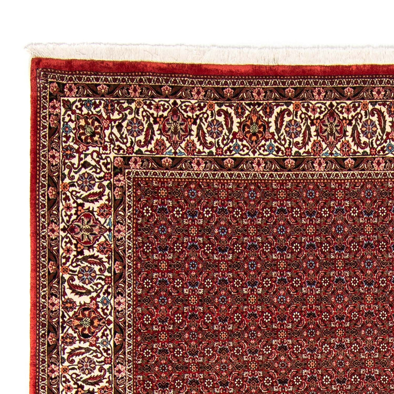 Alfombra persa - Bidjar - 330 x 246 cm - rojo