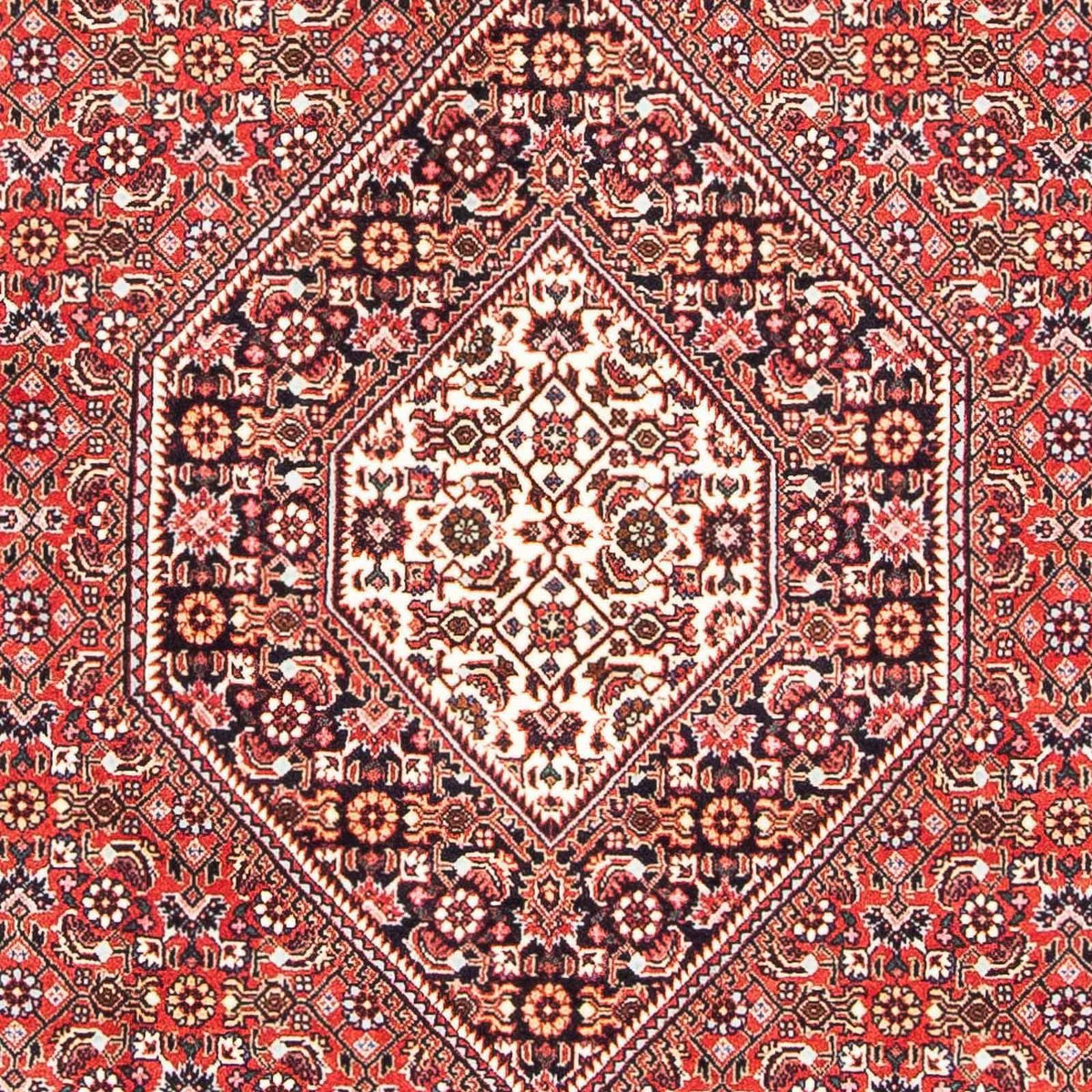 Alfombra persa - Bidjar - 181 x 109 cm - rojo claro