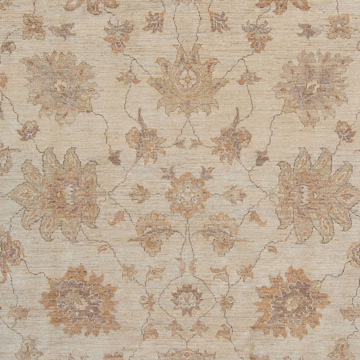 Alfombra Ziegler - 337 x 249 cm - beige claro