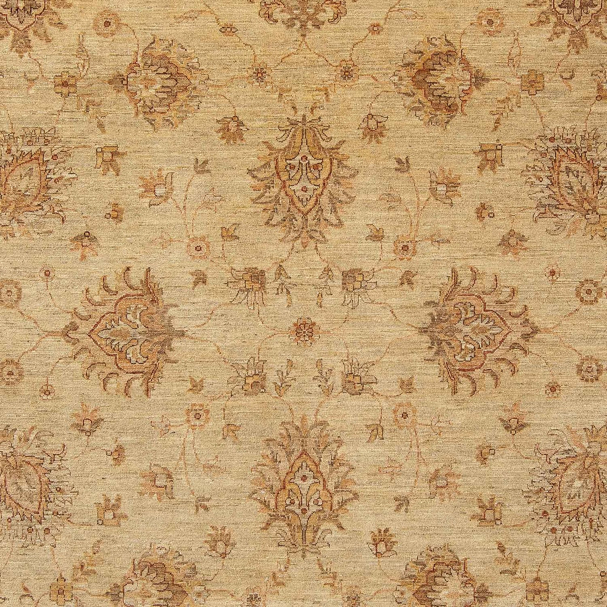 Alfombra Ziegler - 293 x 244 cm - marrón claro