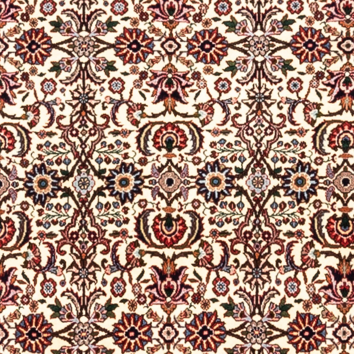 Alfombra persa - Bidjar - 300 x 201 cm - beige
