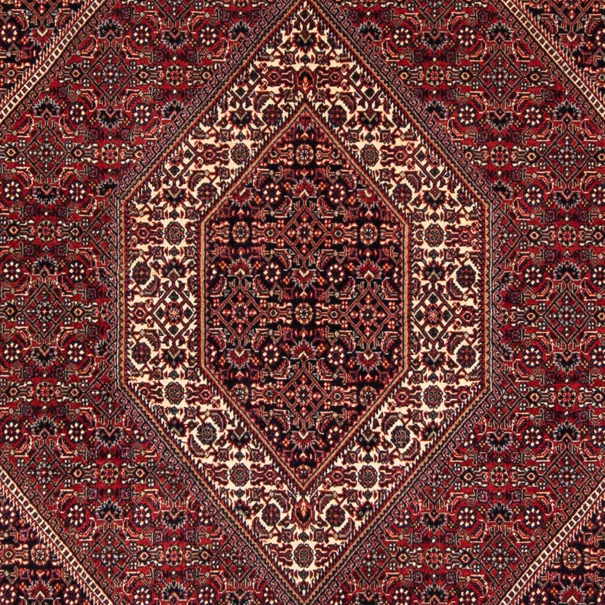 Alfombra persa - Bidjar cuadrado - 152 x 148 cm - rojo oscuro