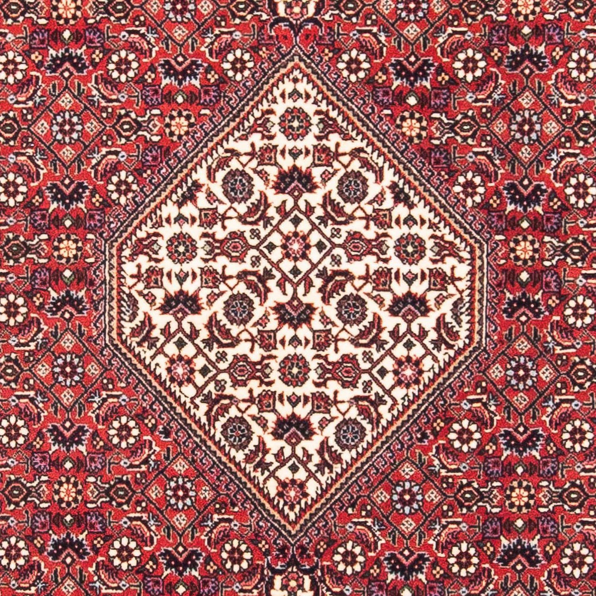 Alfombra persa - Bidjar cuadrado - 115 x 101 cm - rojo