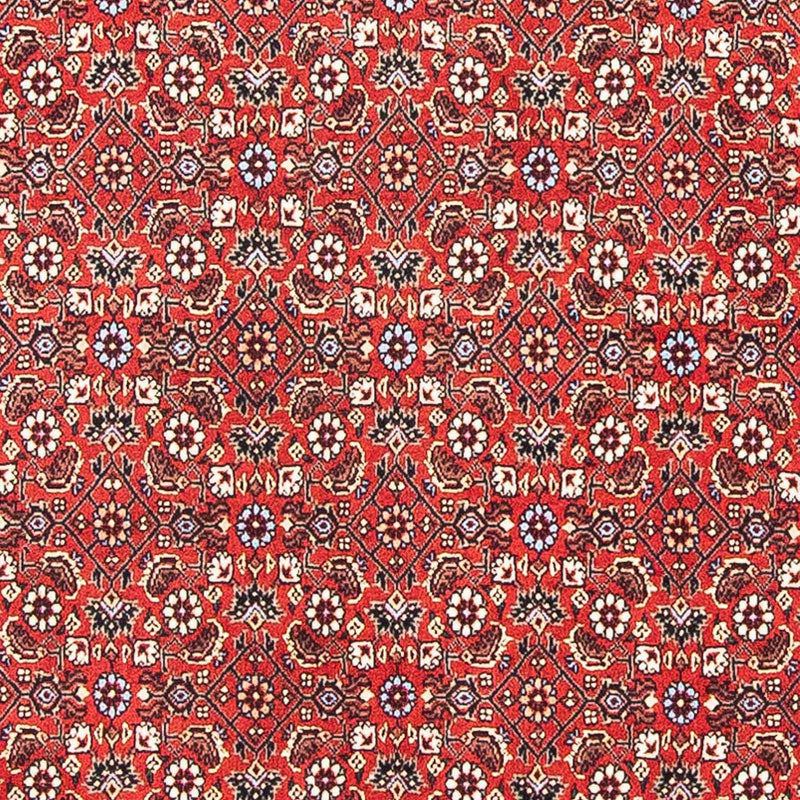 Alfombra persa - Bidjar cuadrado  - 98 x 97 cm - rojo