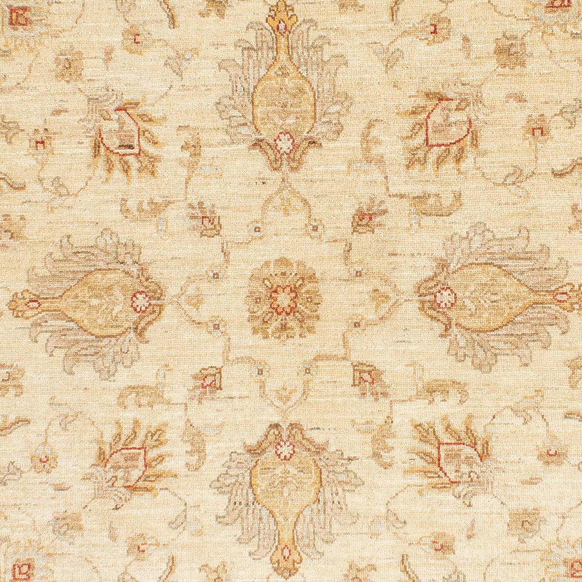 Alfombra Ziegler redondo - 150 x 148 cm - beige