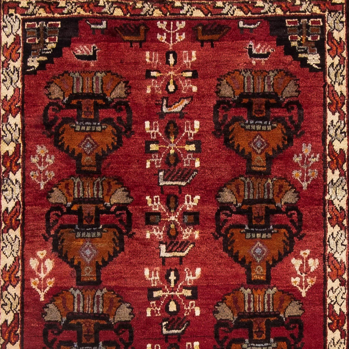 Alfombra de pasillo Alfombra Belutsch - 181 x 107 cm - rojo