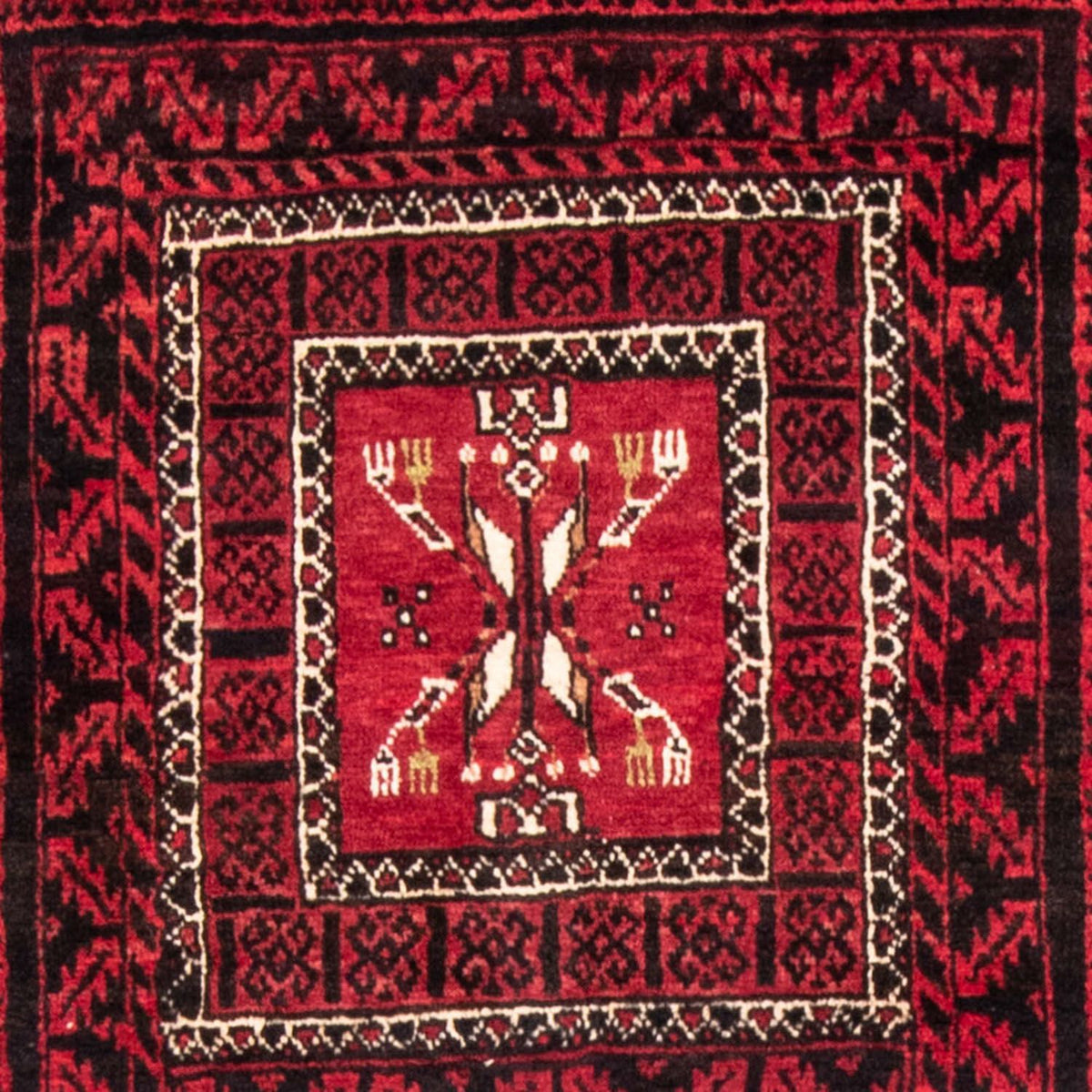 Alfombra de pasillo Alfombra Belutsch - 220 x 114 cm - rojo
