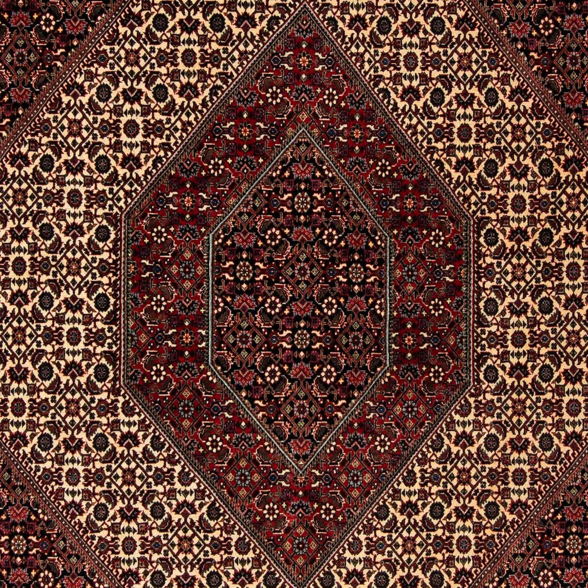 Alfombra persa - Bidjar - 248 x 202 cm - rojo oscuro