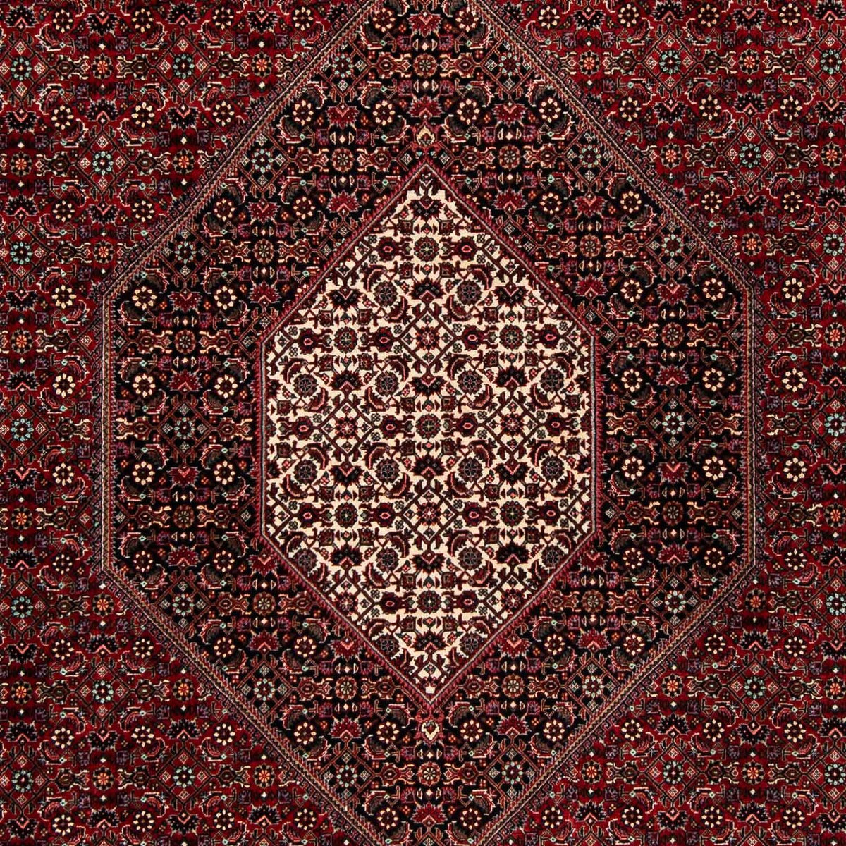 Alfombra persa - Bidjar - 258 x 202 cm - rojo oscuro