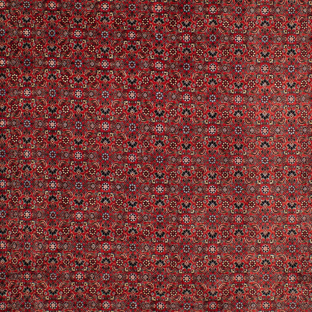Alfombra persa - Bidjar - 295 x 203 cm - rojo oscuro