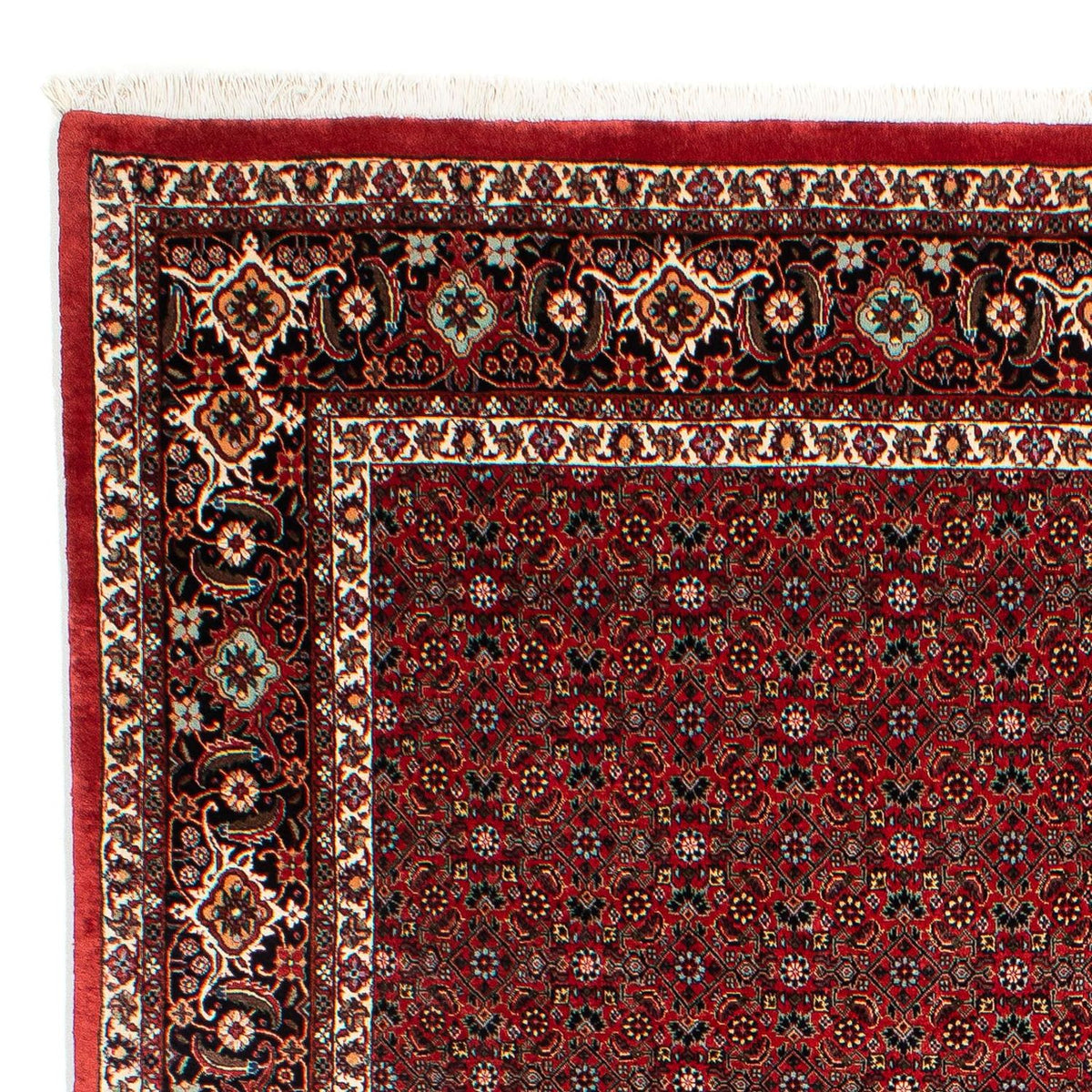 Alfombra persa - Bidjar - 295 x 203 cm - rojo oscuro