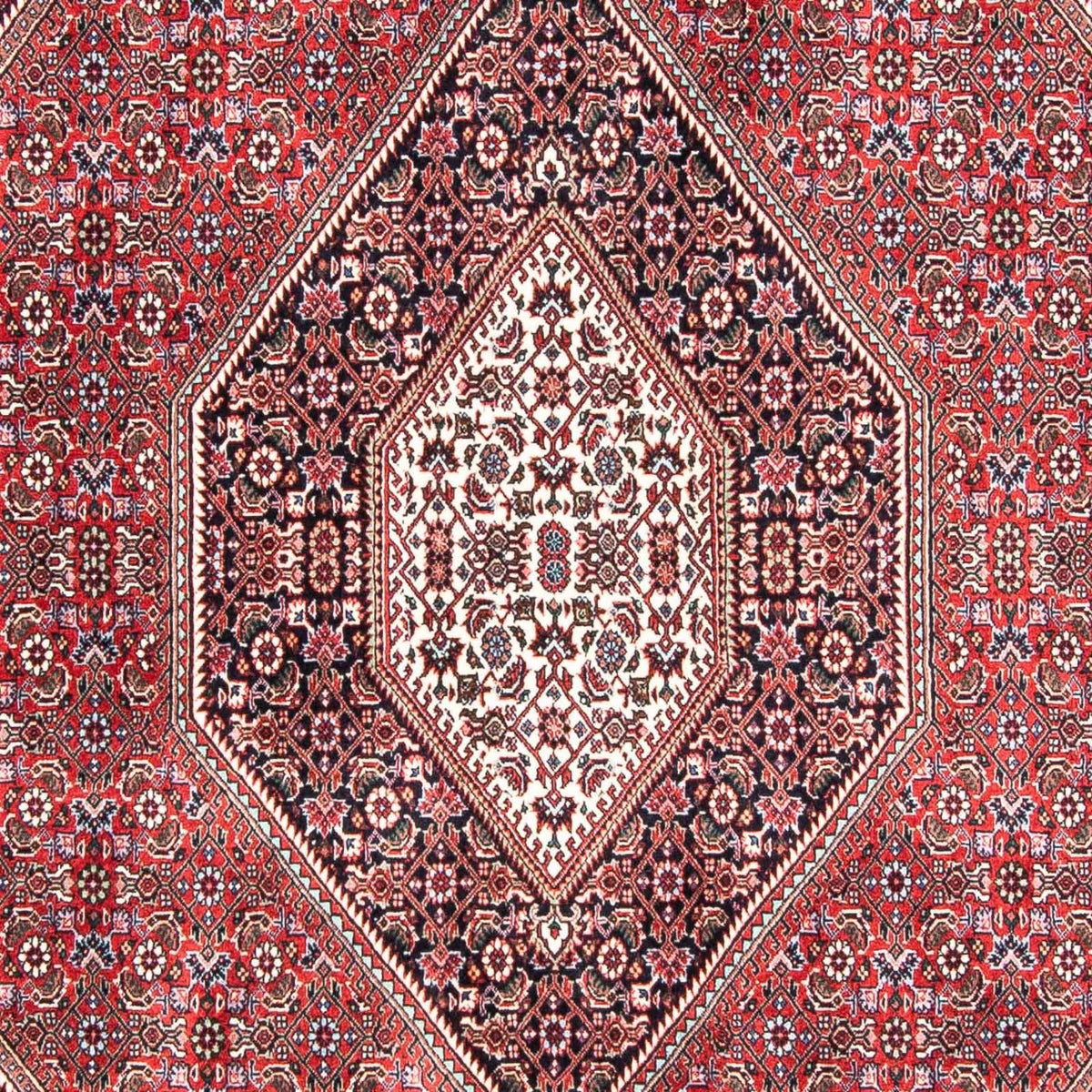 Alfombra persa - Bidjar - 237 x 168 cm - rojo claro