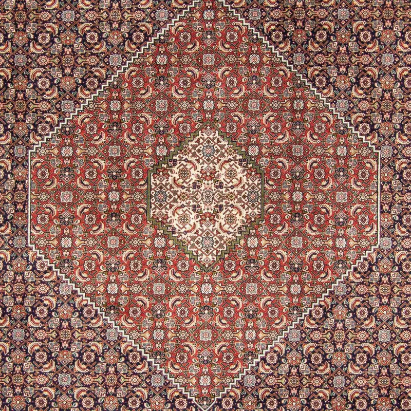 Alfombra persa - Tabriz - 343 x 246 cm - multicolor