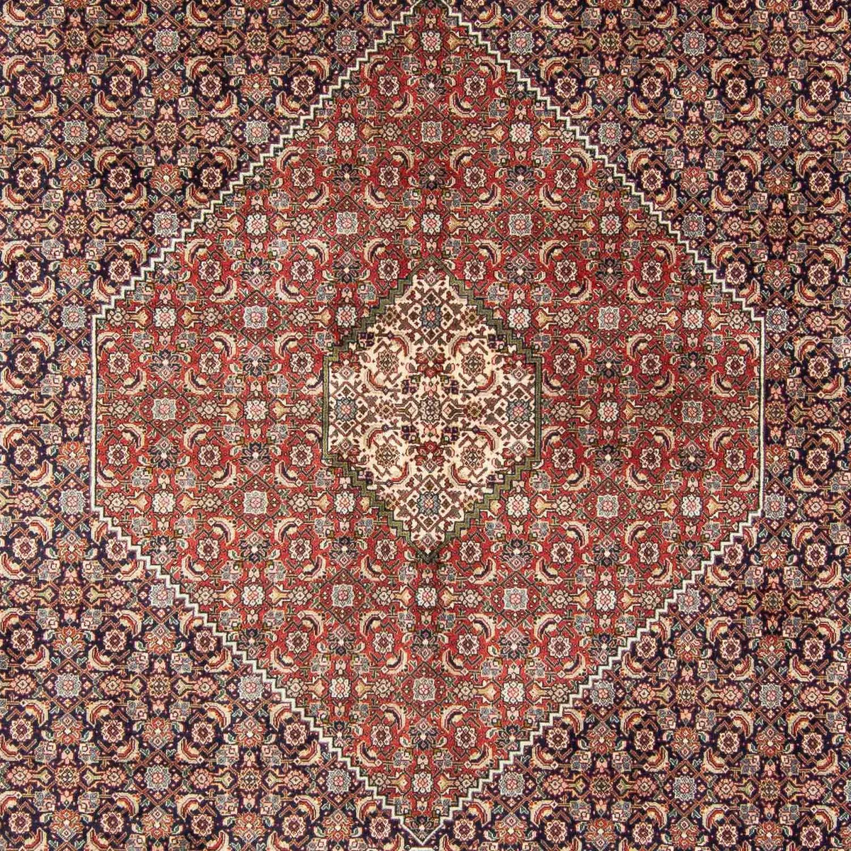 Alfombra persa - Tabriz - 343 x 247 cm - multicolor