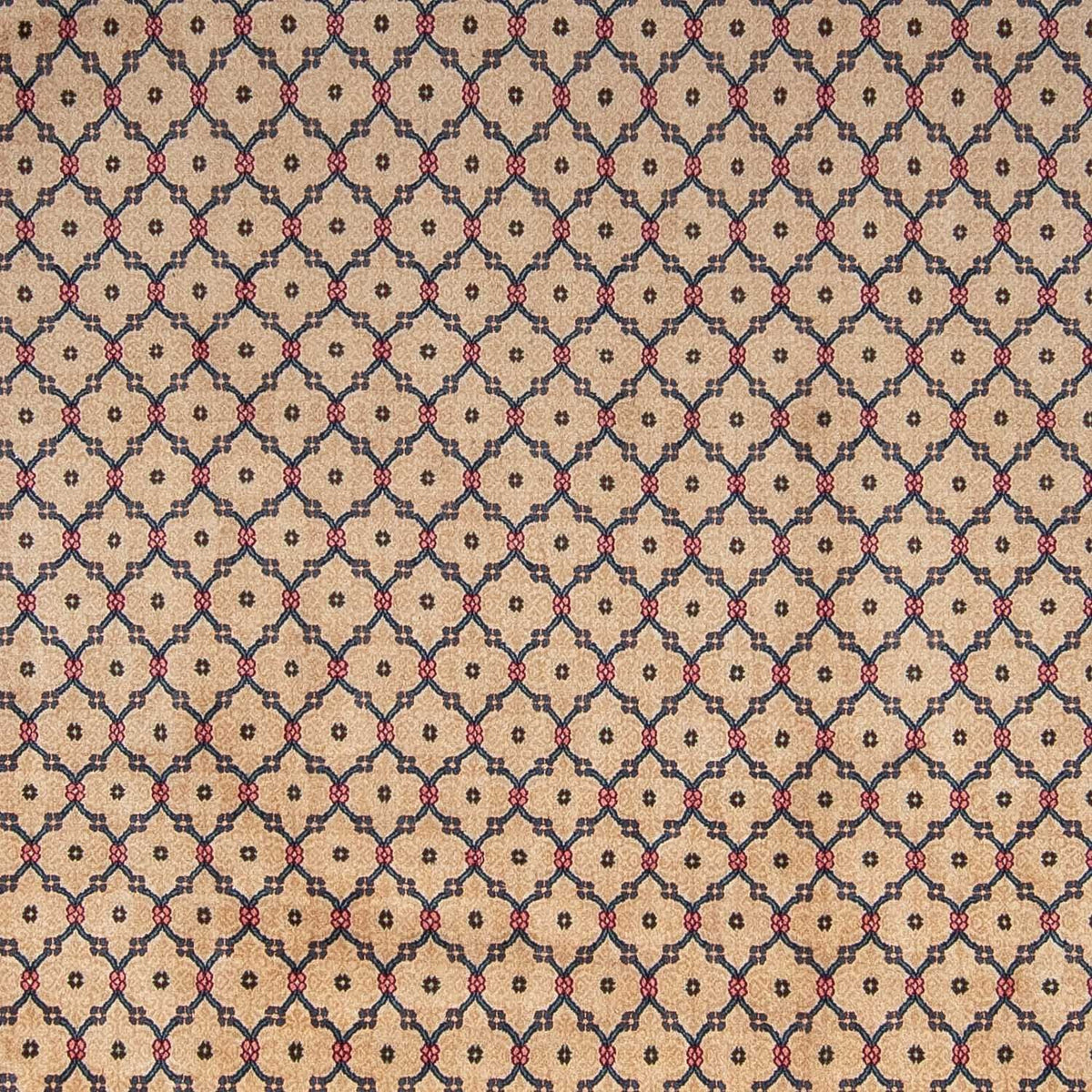 Alfombra persa - Tabriz - 346 x 239 cm - beige