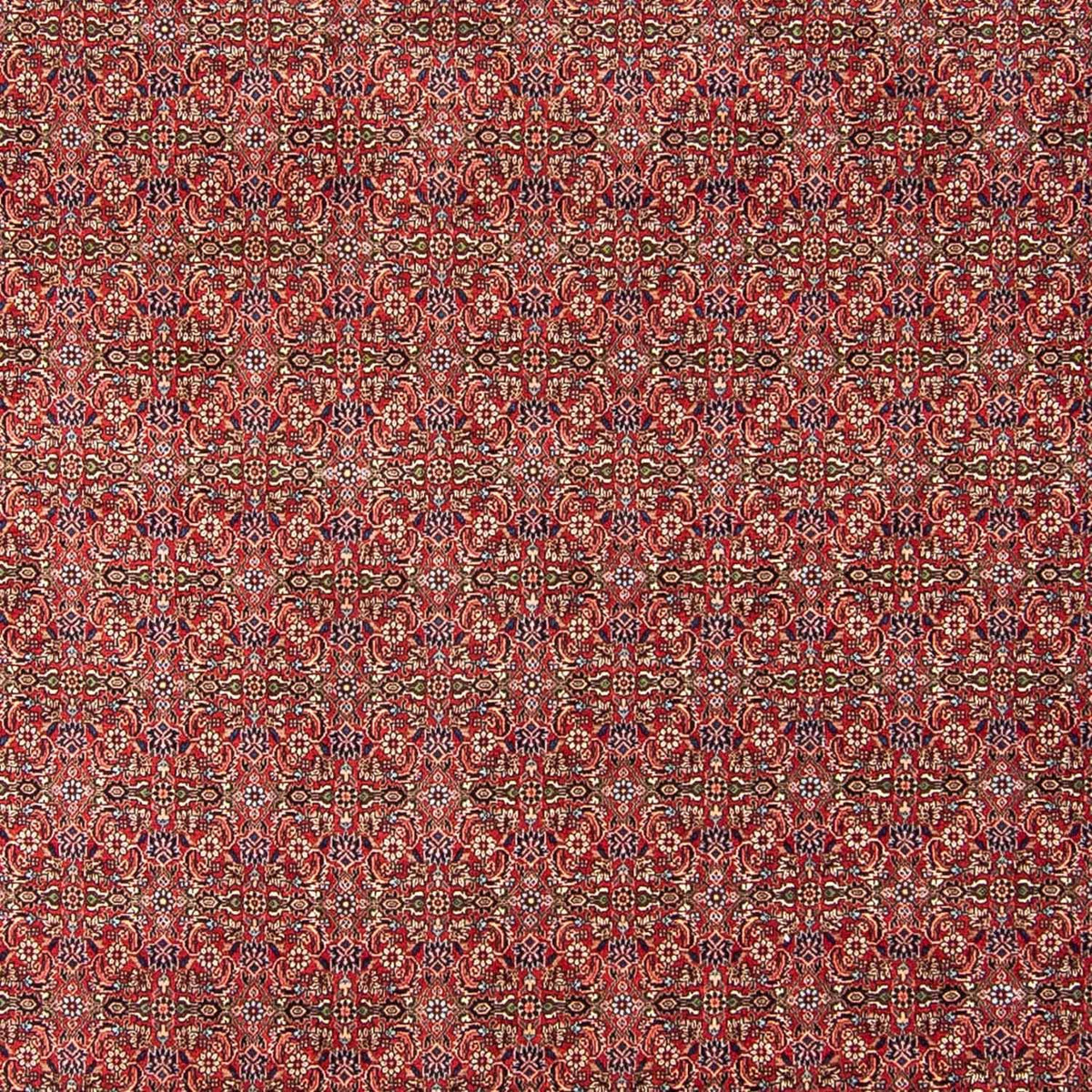 Alfombra persa - Bidjar - 300 x 252 cm - rojo oscuro