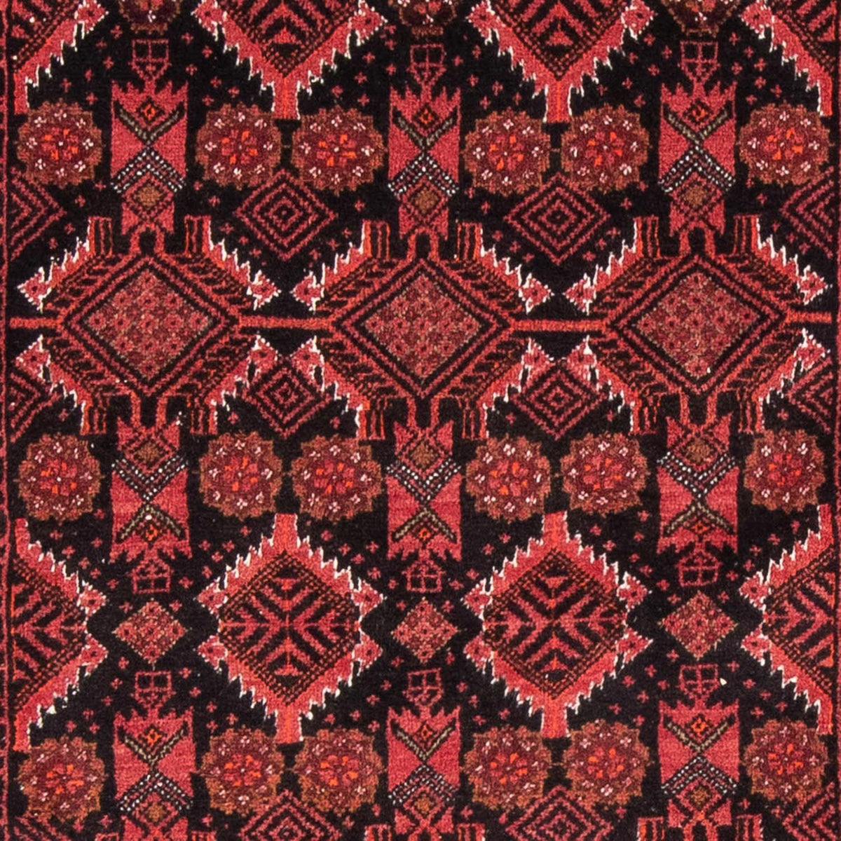 Alfombra de pasillo Alfombra Belutsch - 187 x 99 cm - rojo