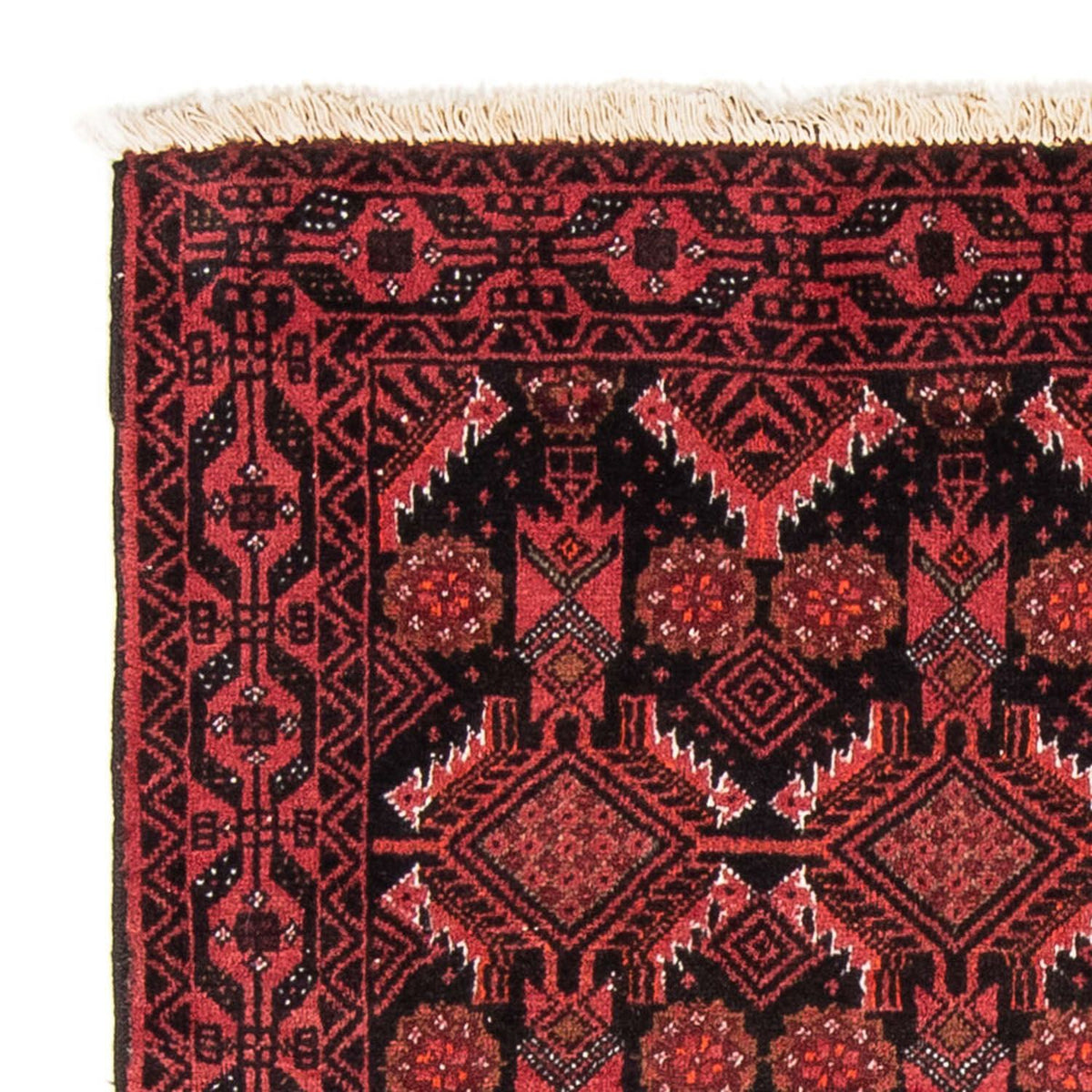 Alfombra de pasillo Alfombra Belutsch - 187 x 99 cm - rojo