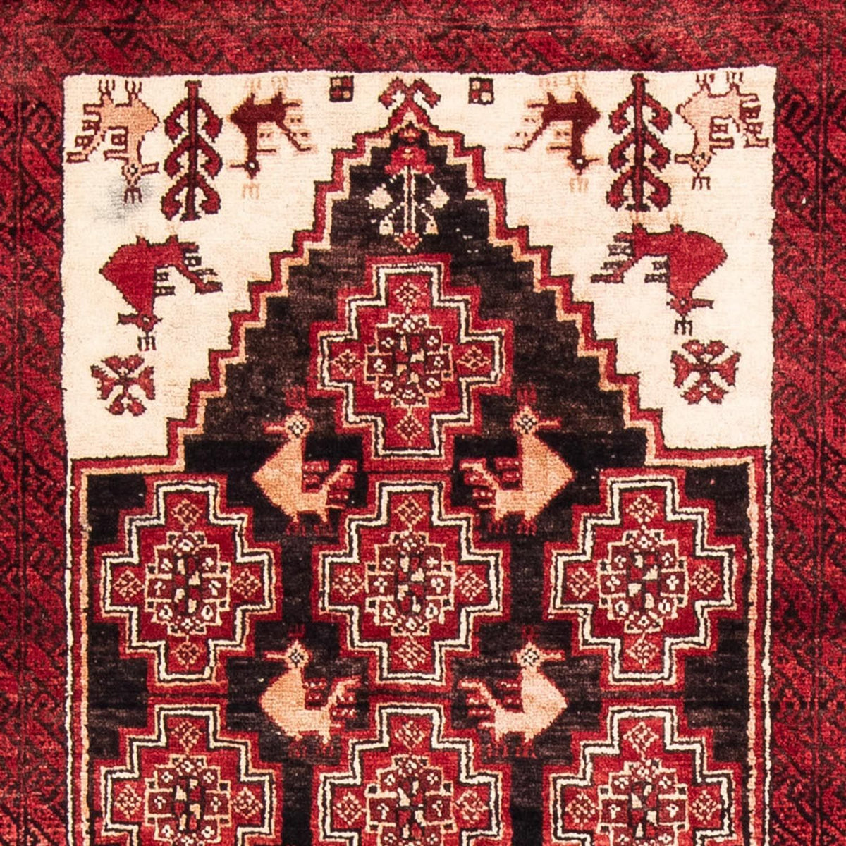 Alfombra de pasillo Alfombra Belutsch - 202 x 100 cm - rojo