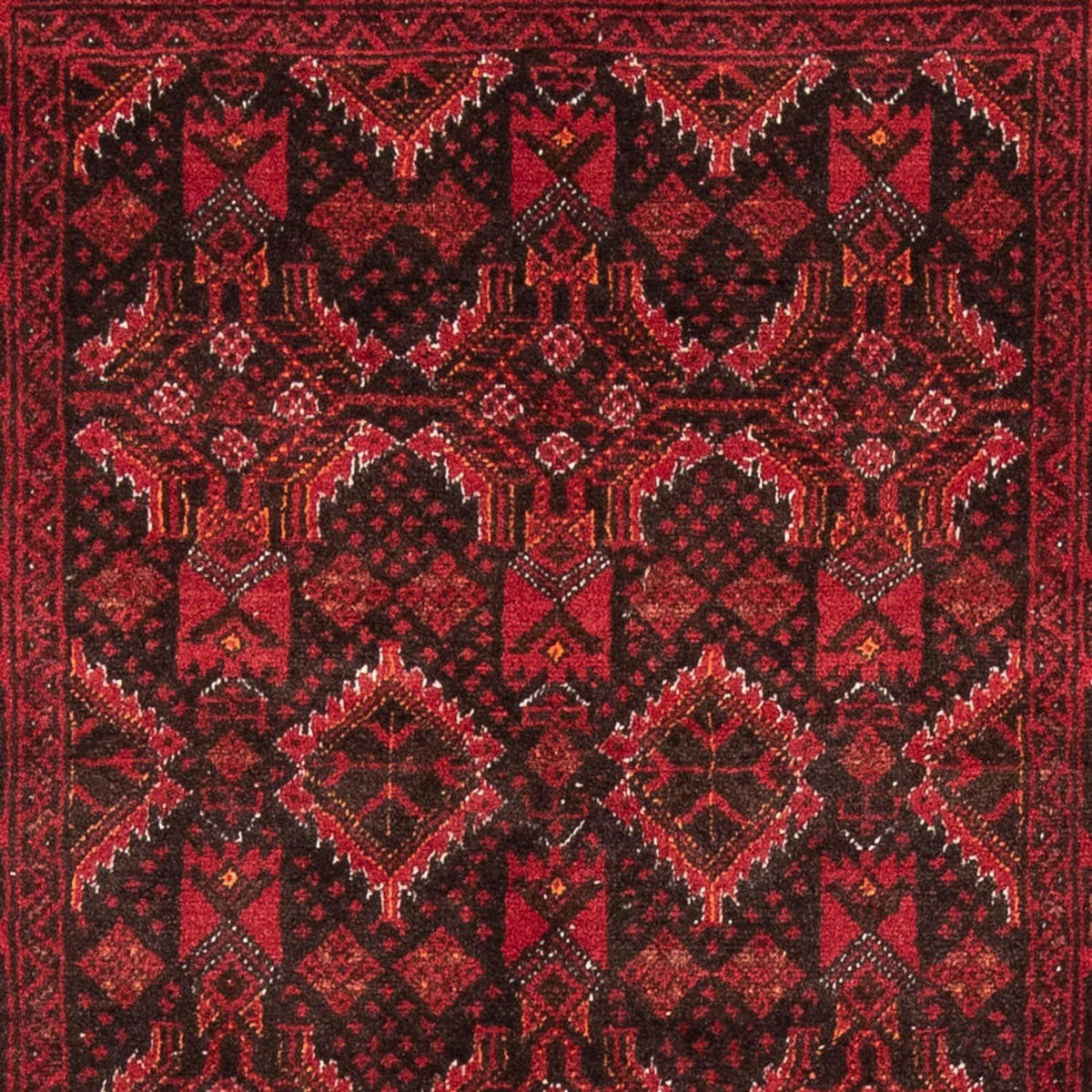 Alfombra de pasillo Alfombra Belutsch - 196 x 100 cm - rojo