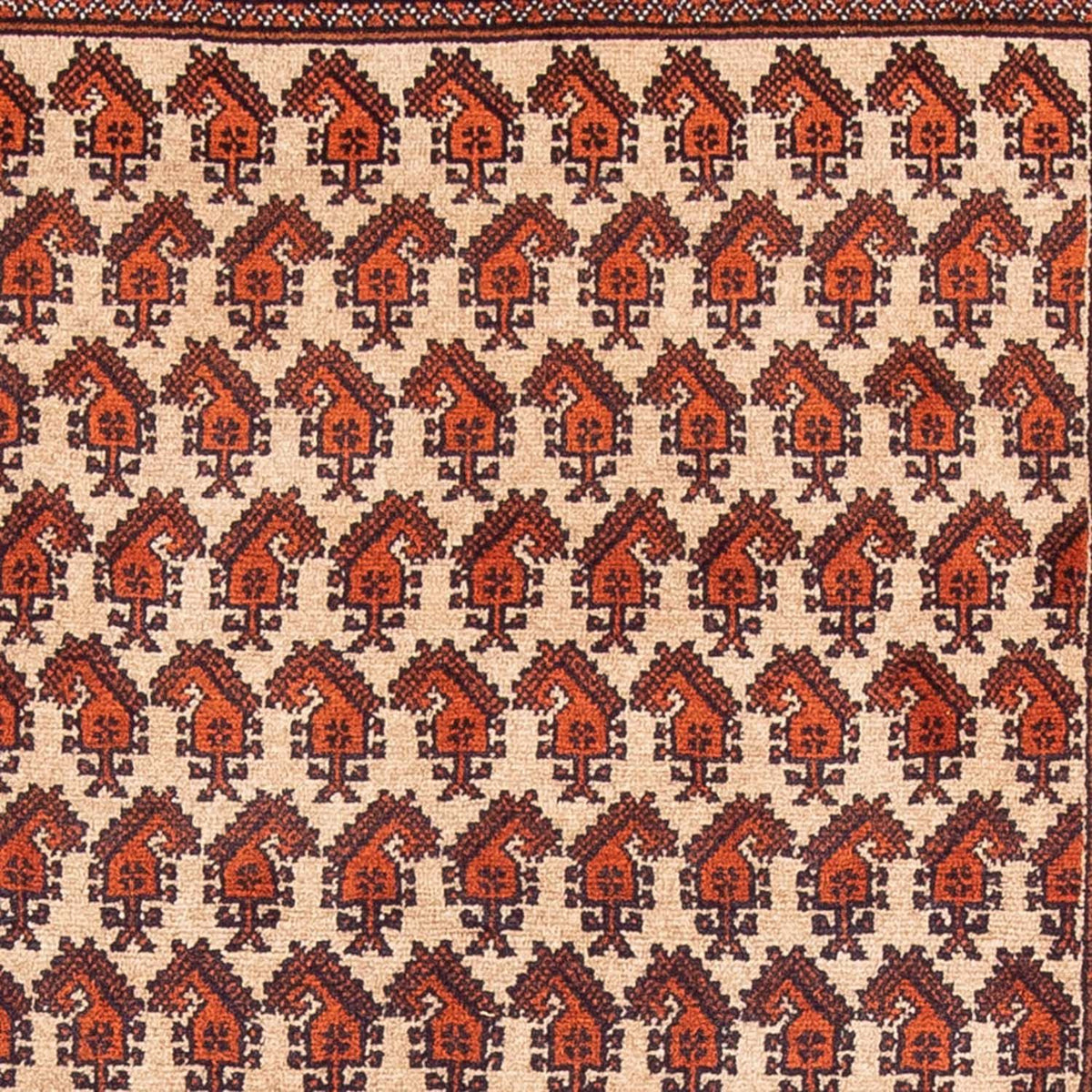 Alfombra de pasillo Alfombra Belutsch - 178 x 100 cm - beige