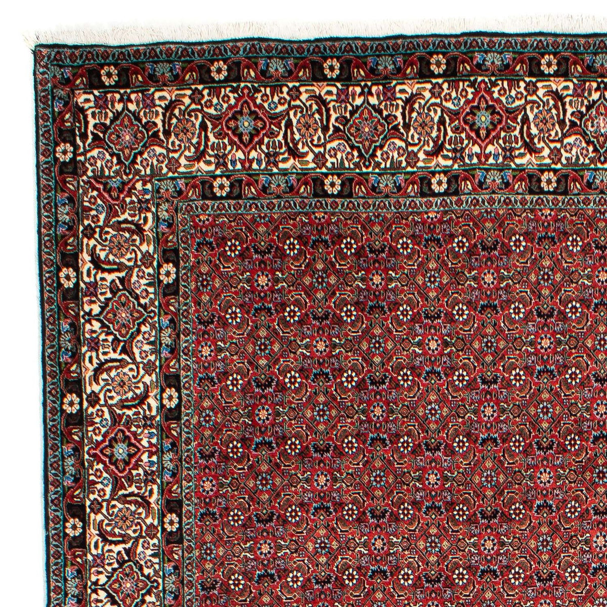 Alfombra persa - Bidjar - 299 x 203 cm - rojo claro