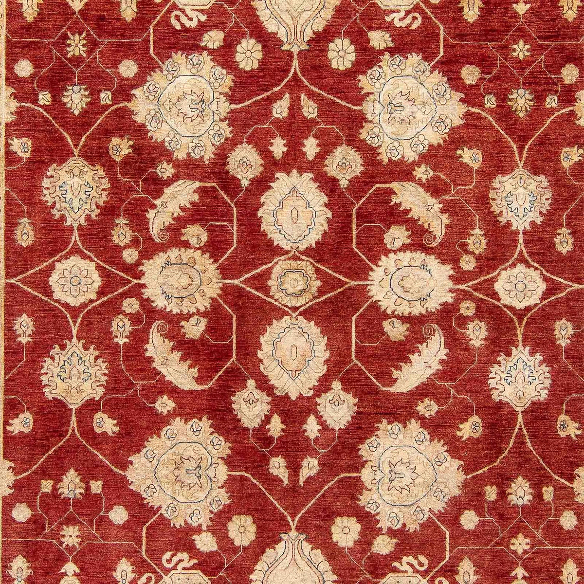Alfombra Ziegler - 390 x 295 cm - rojo oscuro