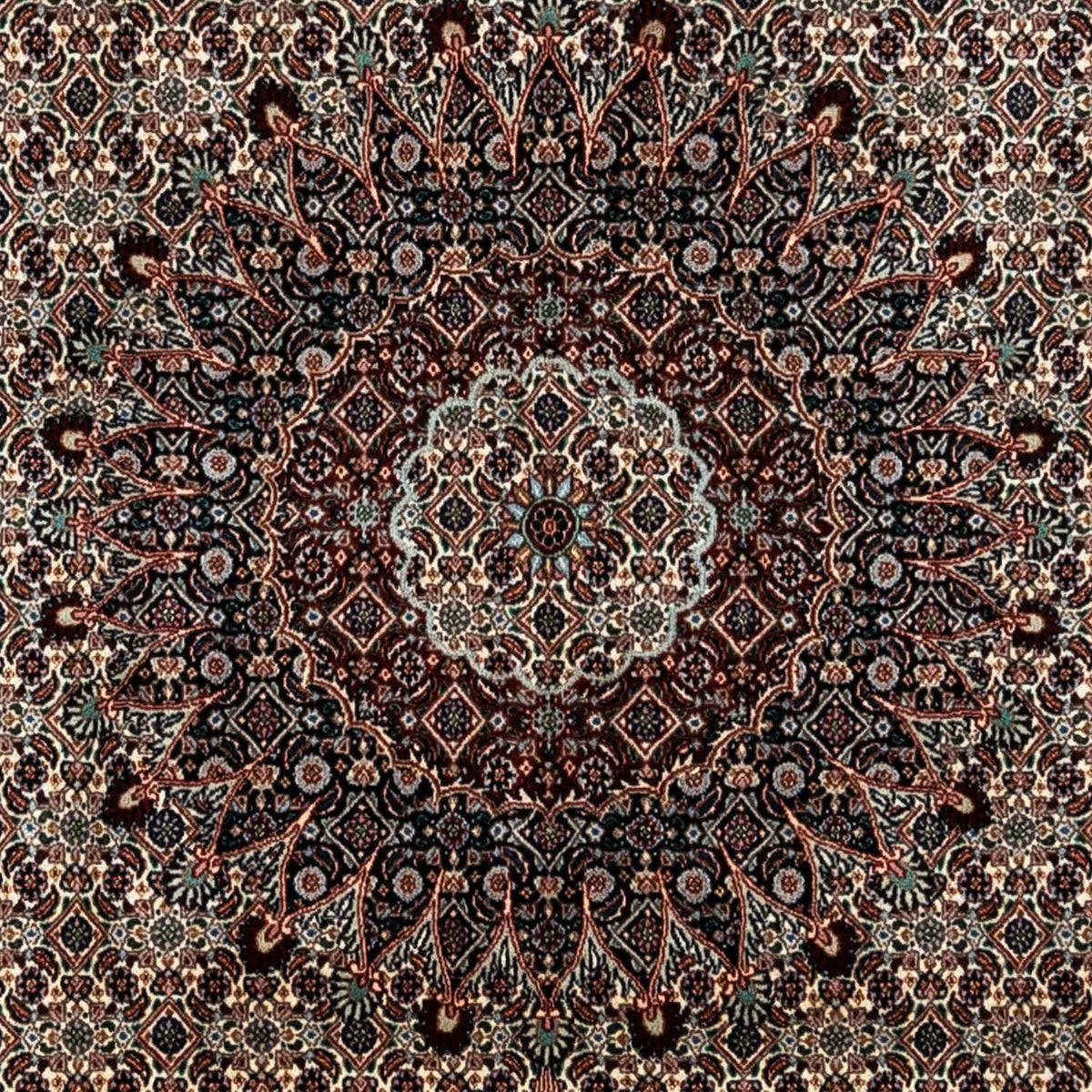 Alfombra persa - Clásica - 360 x 251 cm - beige