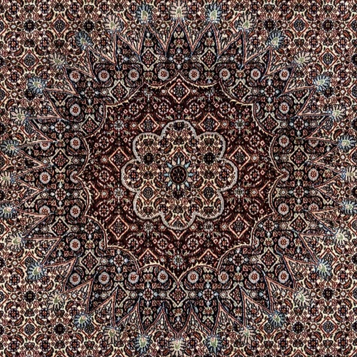 Alfombra persa - Clásica - 344 x 246 cm - beige