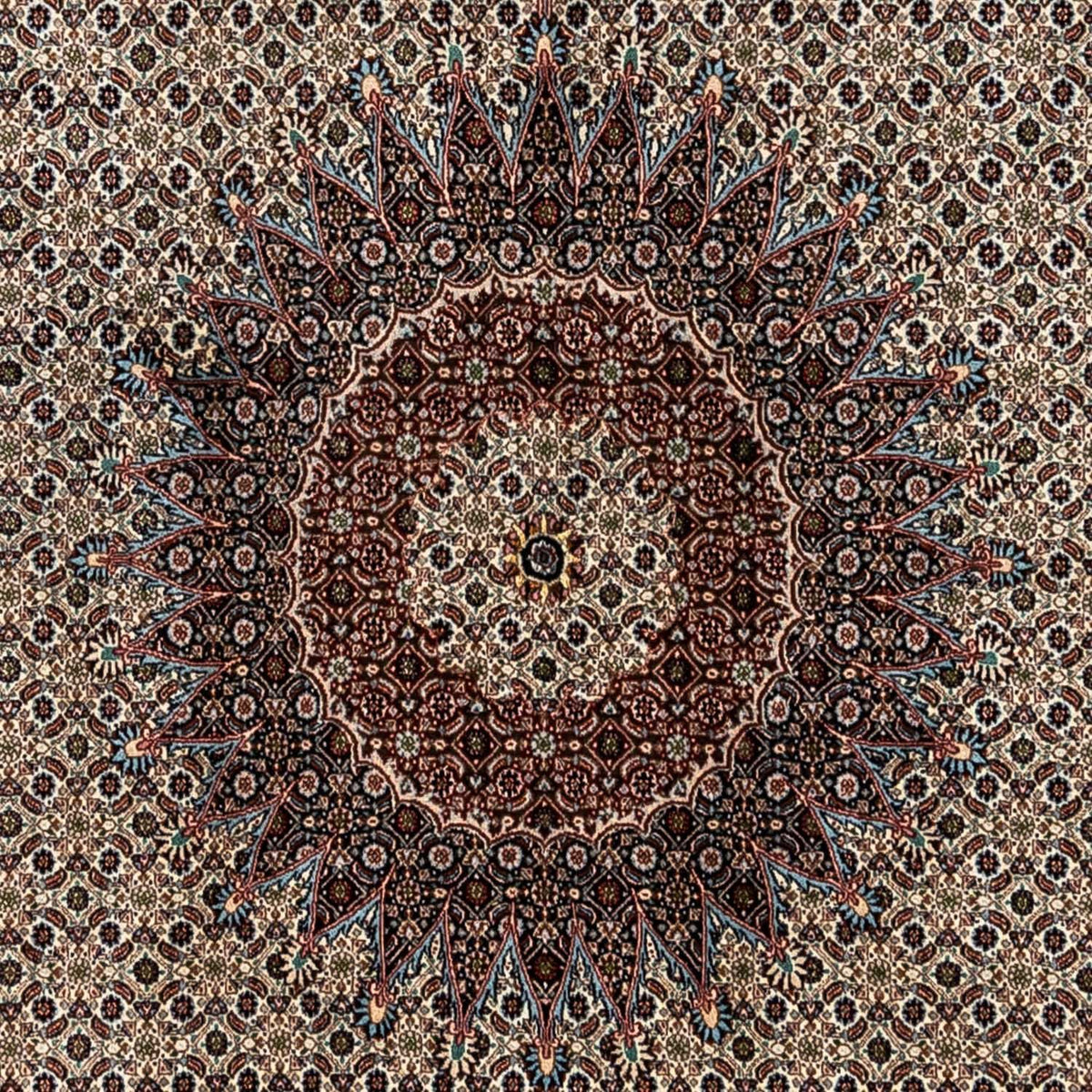 Alfombra persa - Clásica - 353 x 244 cm - beige